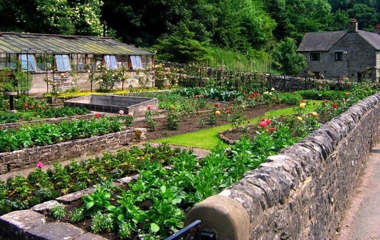 Vegetable Gardening: Expert Tips for Beginners