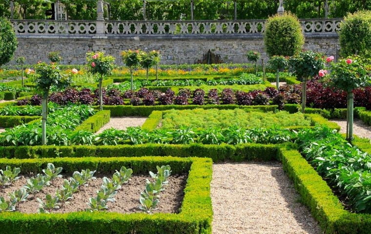 Ornamental Gardening Benefits: Beyond Beauty, Nature's Rewards