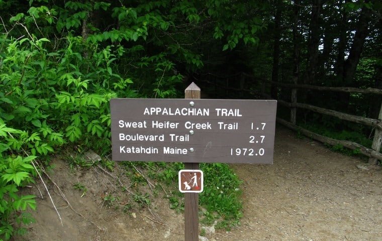 Appalachian Trail: Nature's Longest Hiking Adventure